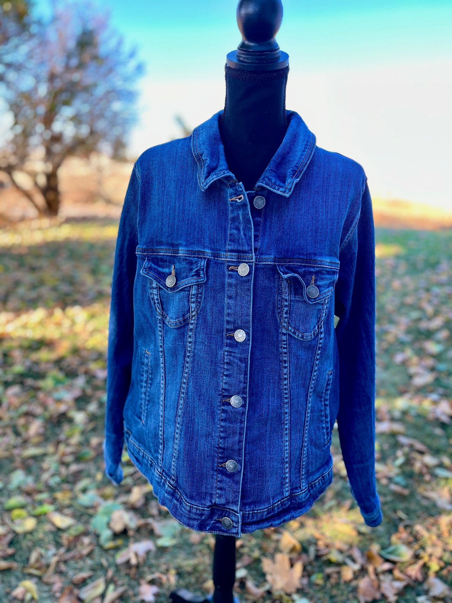 Classic Denim Jacket - Women's 3X