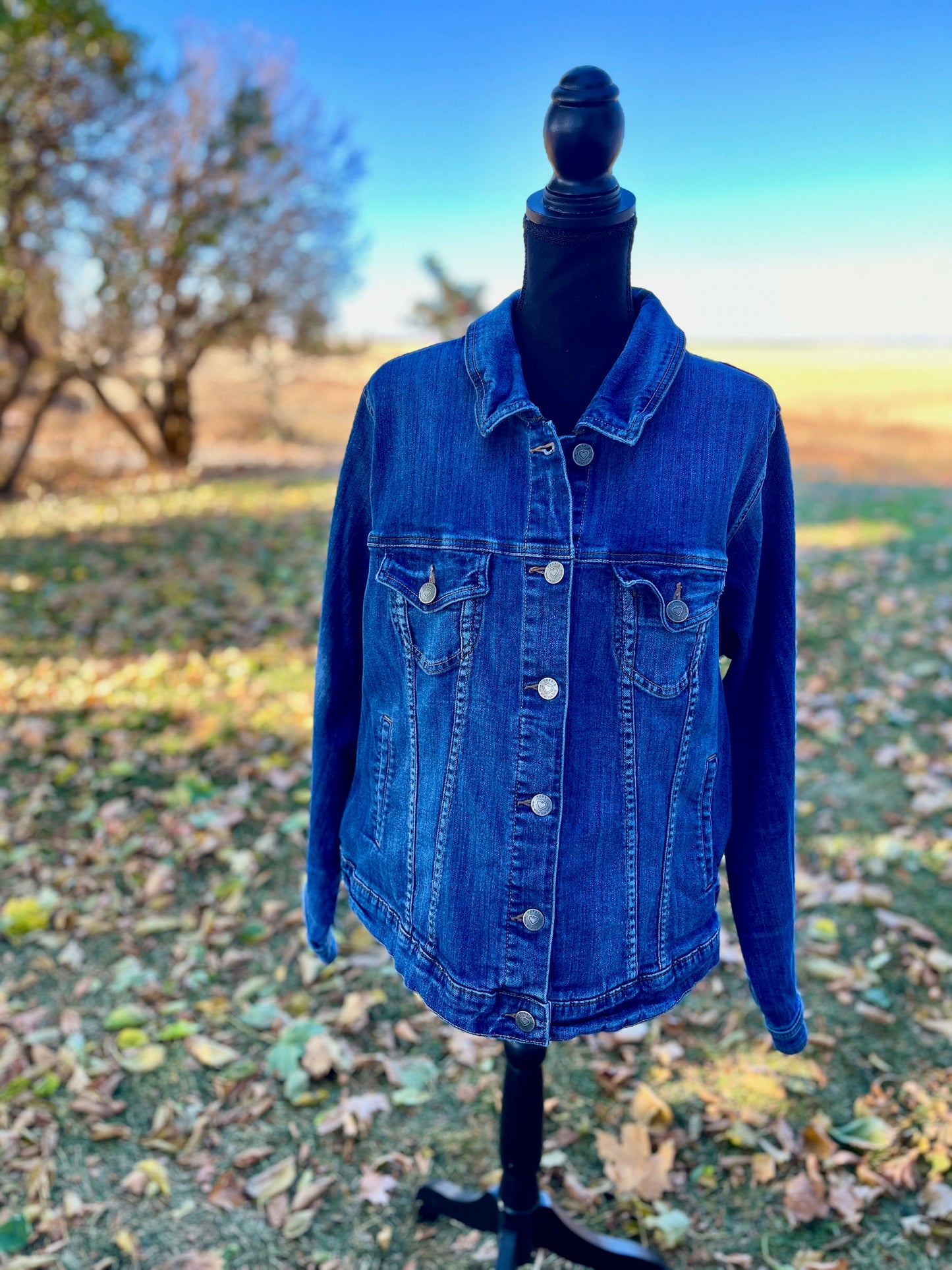 Classic Denim Jacket - Women's 3X