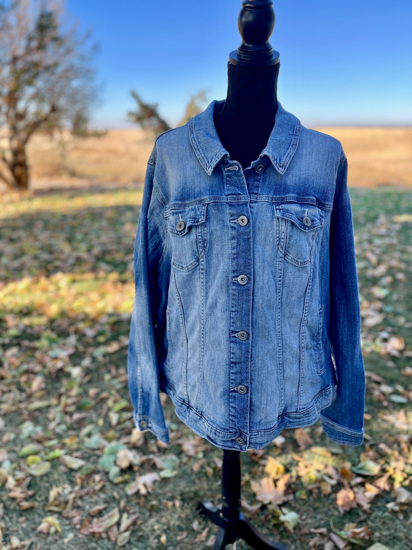 Classic Denim Jacket - Women's 4X