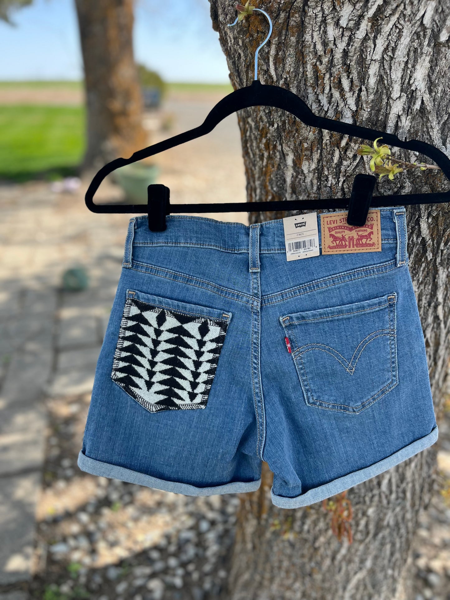 Levi's Shorts - Size 2/W26