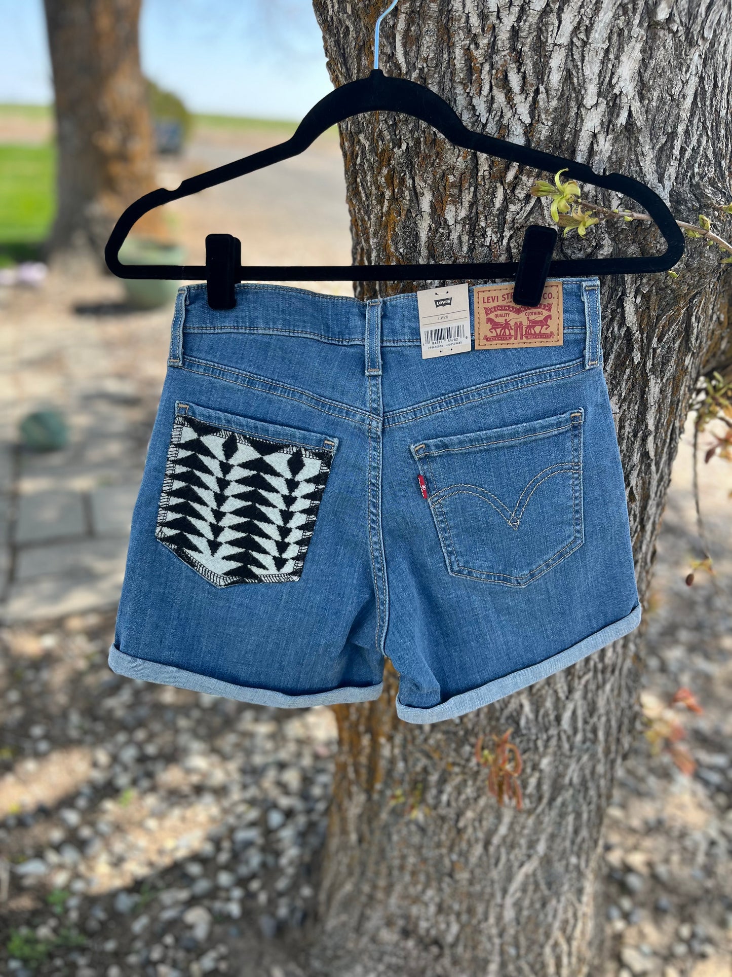 Levi's Shorts - Size 2/W26