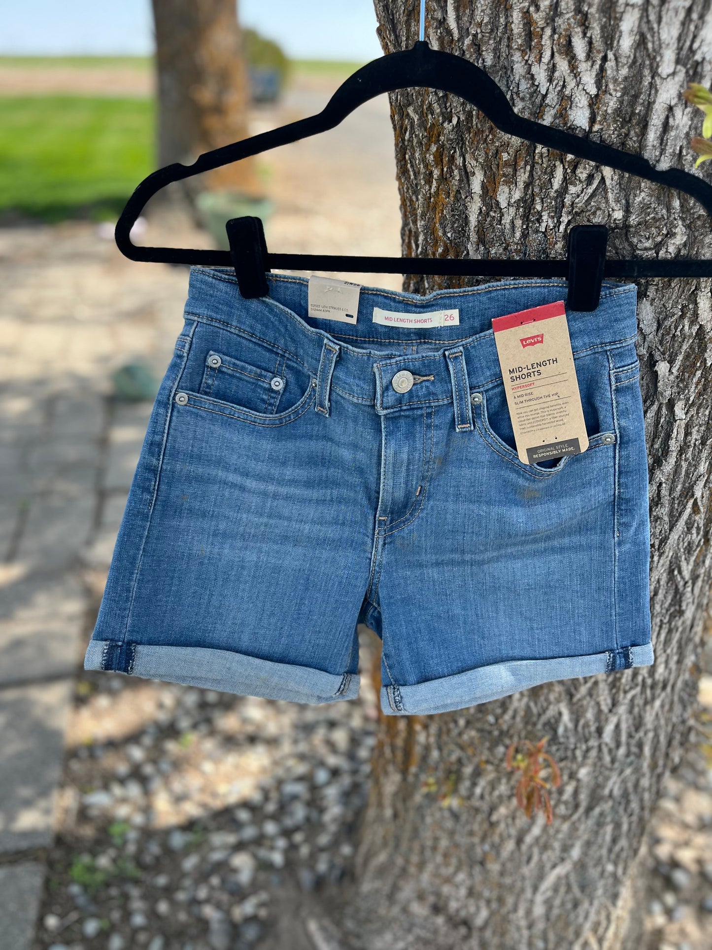 Levi's Shorts - Size 2/W26