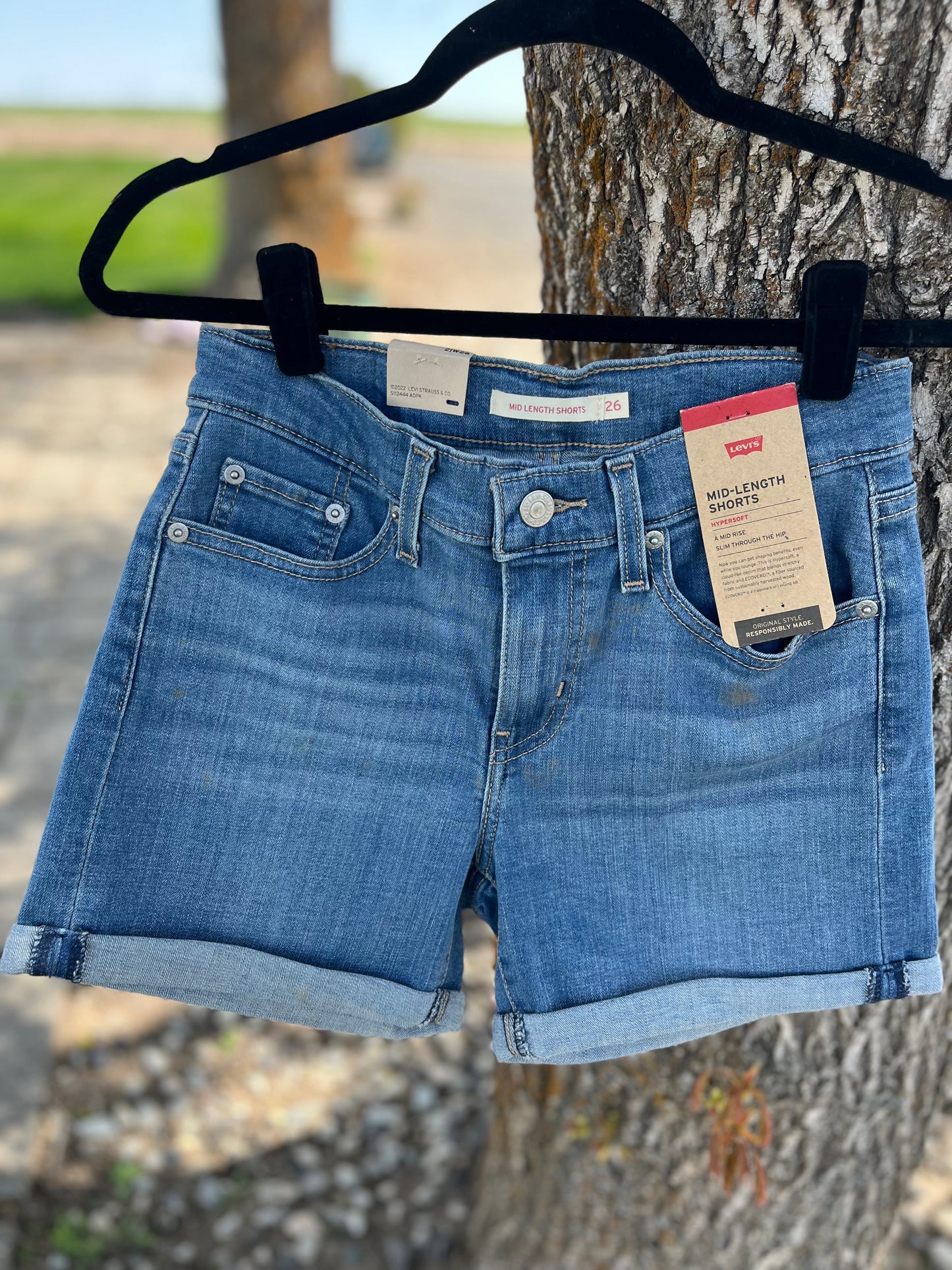 Levi's Shorts - Size 2/W26