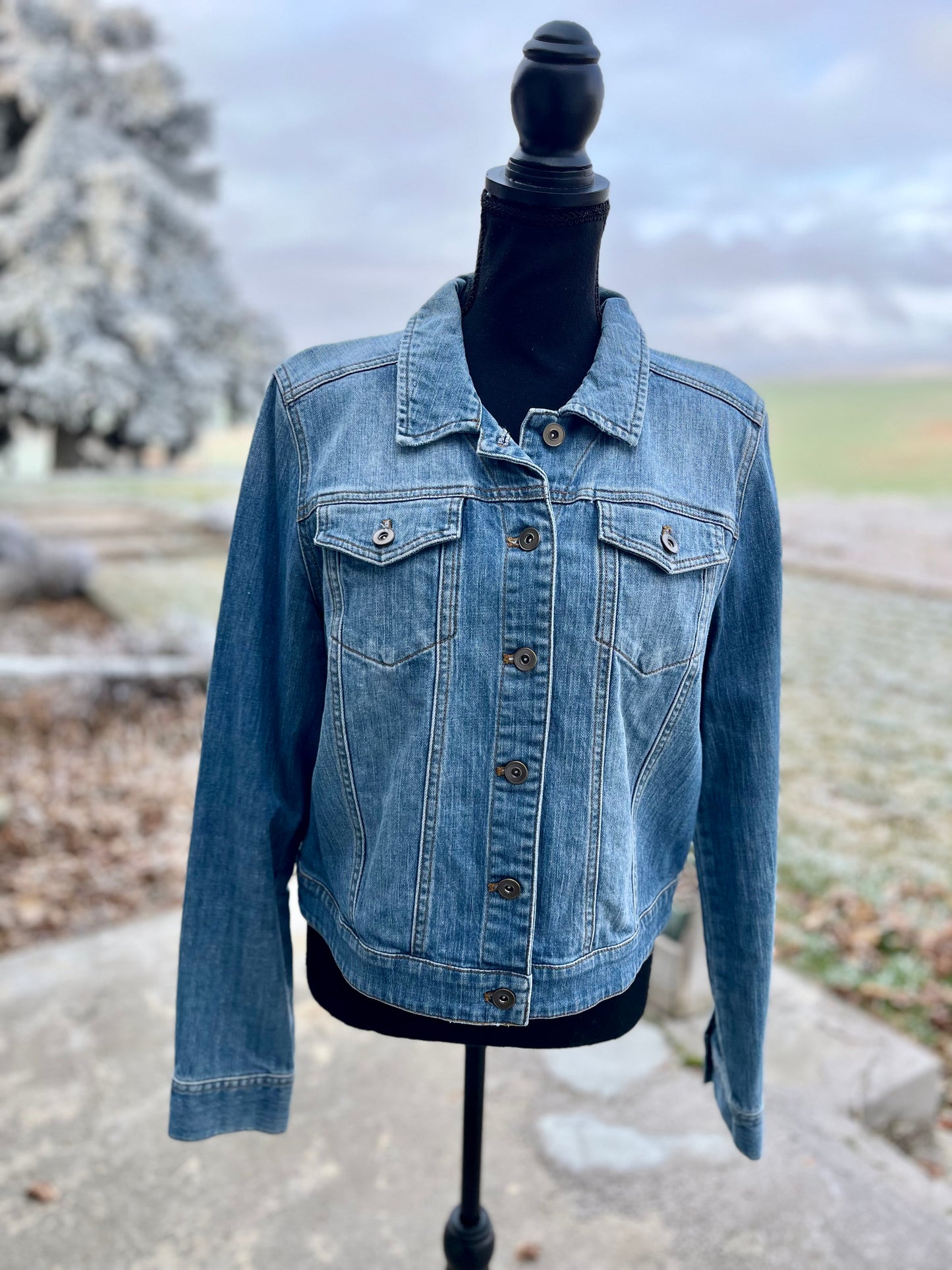 Cowgirl Denim Jacket - Women's Large