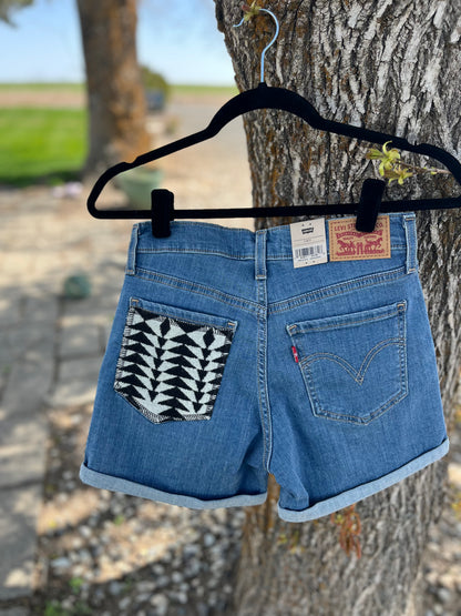Levi's Shorts - Size 2/W26